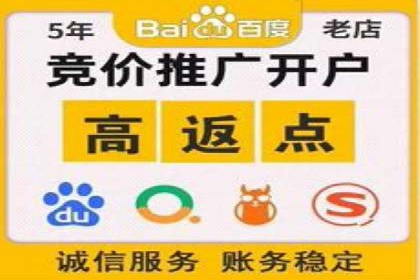 深度剖析：百度竞价推广代运营在某电商平台的成功实践
